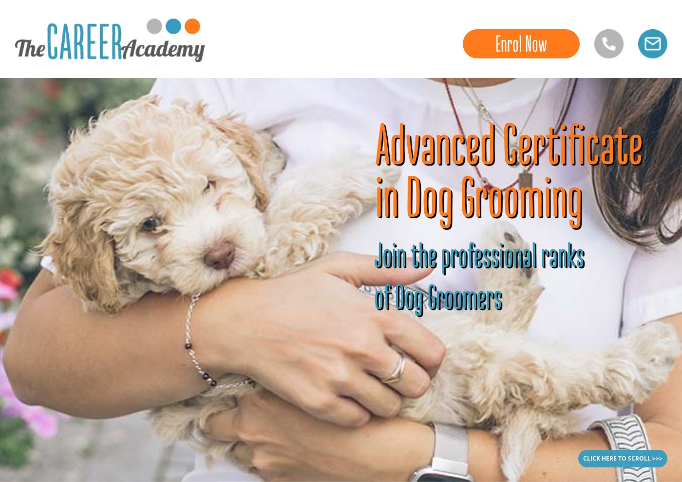 course-guide-anca1016-1-advanced-certificate-in-dog-grooming